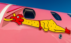 Ripley's Believe It or Not! Flying Pig Citation by Duncan Aviation featuring a rubber chicken earring