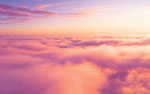Fly Connected: Go With Gogo Avance L5